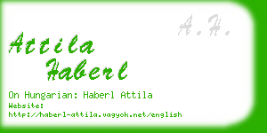 attila haberl business card